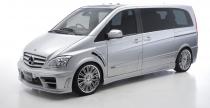 Mercedes Viano Wald International