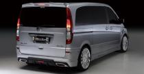 Mercedes Viano Wald International