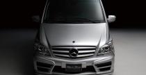 Mercedes Viano Wald International