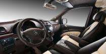 Mercedes Vito Vilner