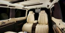 Mercedes Vito Vilner