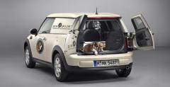 Mini Clubvan