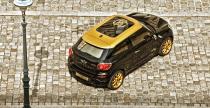 Mini Paceman Roberto Cavalli