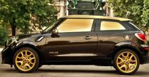 Mini Paceman Roberto Cavalli