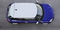 Mini Paceman