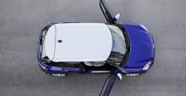 Mini Paceman