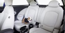 Mini Paceman