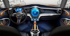 Mini Vision Concept
