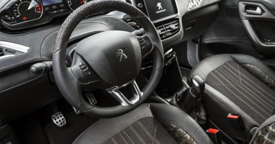 Peugeot 208 Natural Concept