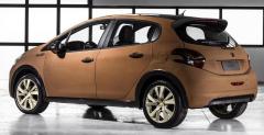 Peugeot 208 Natural Concept