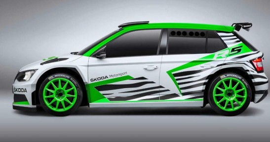 Skoda Fabia R5 Concept