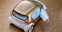 Smart Forvision Concept