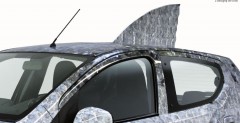 Suzuki Alto z rybnym nadwoziem