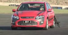Stig vs Ken Block