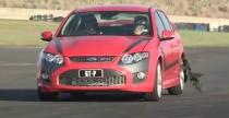 Stig vs Ken Block