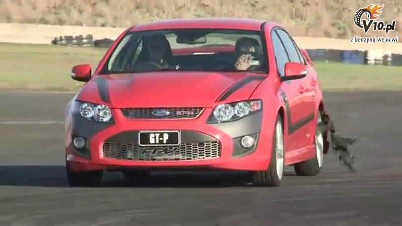 Stig vs Ken Block