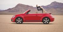 Volkswagen Beetle Cabrio