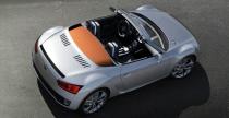 Volkswagen Concept Bluesport