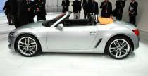Volkswagen Concept Bluesport