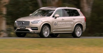 Volvo Kangaroo Detection System - specjalnie dla Australii