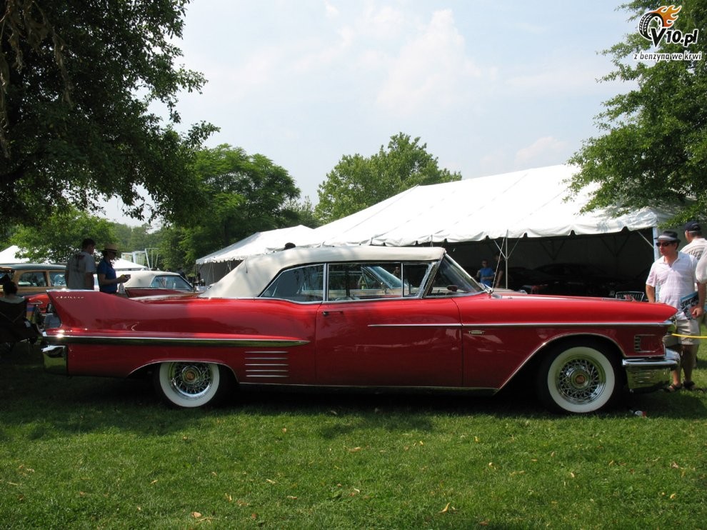 Greenwich Concours d'Elegance 2008 dzie 1