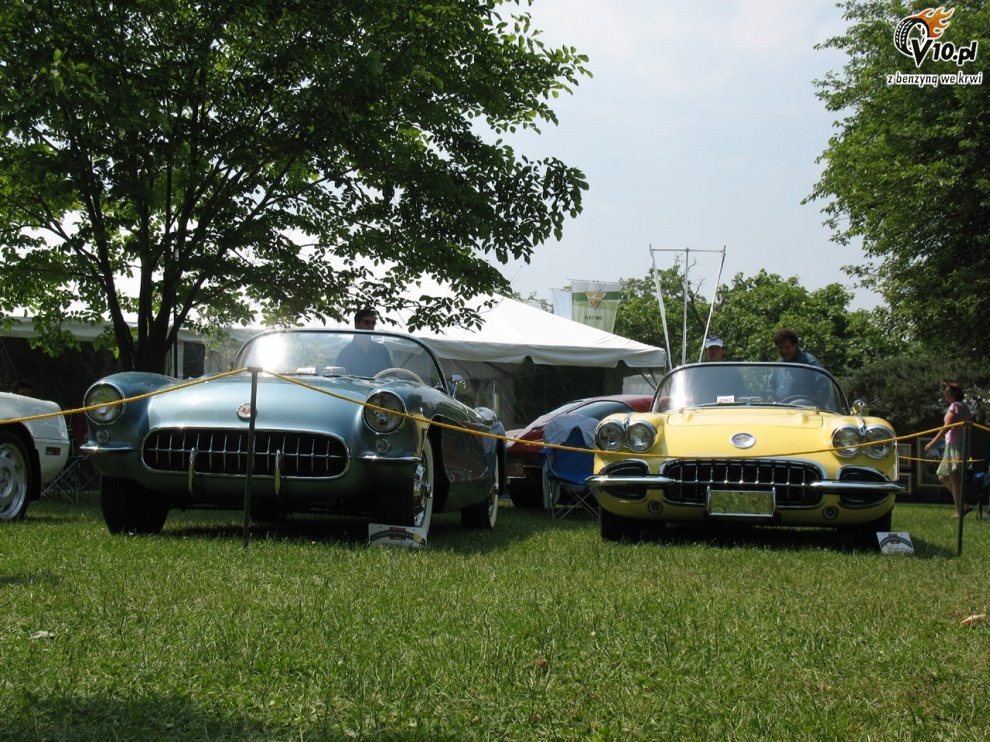 Greenwich Concours d'Elegance 2008 dzie 1