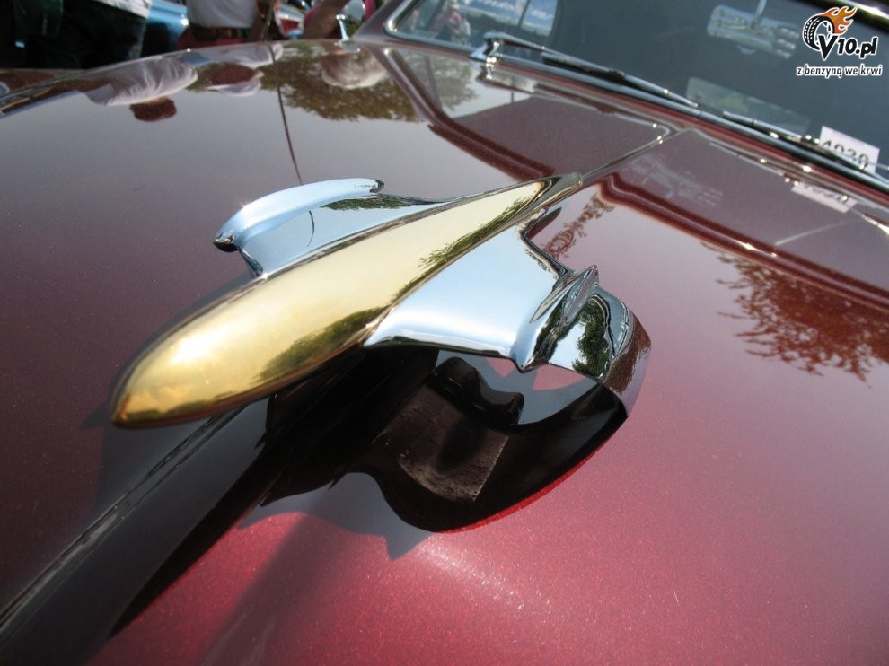 Greenwich Concours d'Elegance 2008 dzie 1