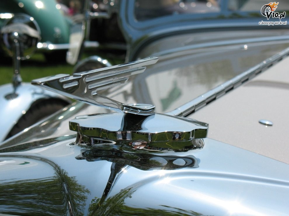Greenwich Concours d'Elegance 2008 dzie 1