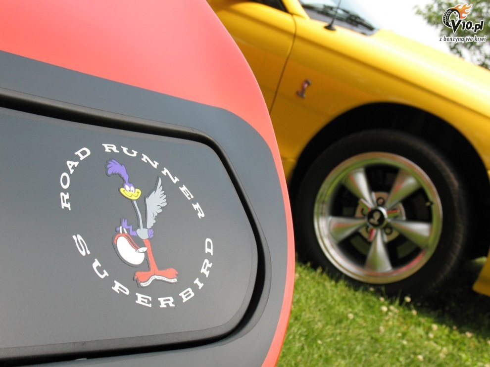Greenwich Concours d'Elegance 2008 dzie 1