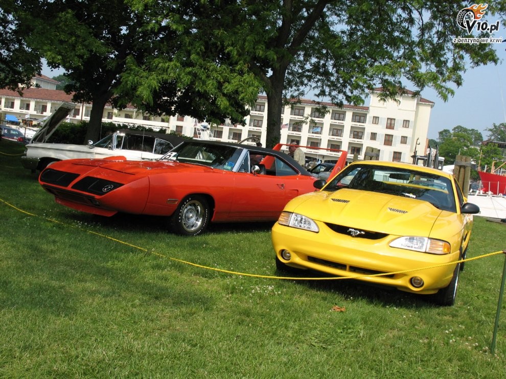 Greenwich Concours d'Elegance 2008 dzie 1