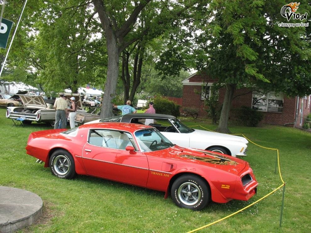 Greenwich Concours d'Elegance 2008 dzie 1