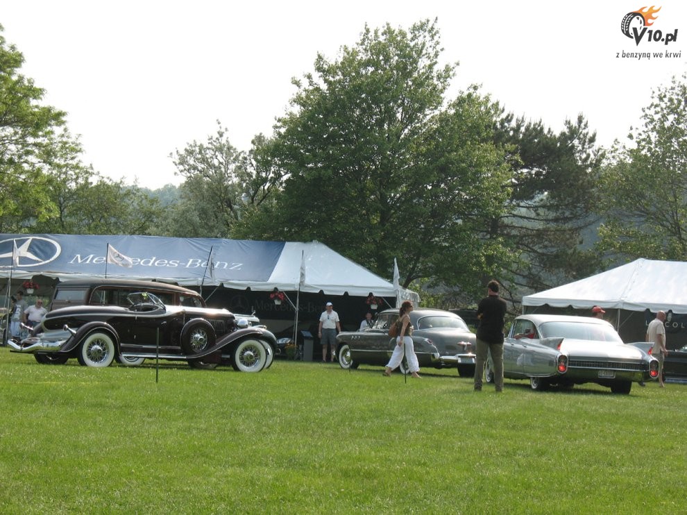 Greenwich Concours d'Elegance 2008 dzie 1
