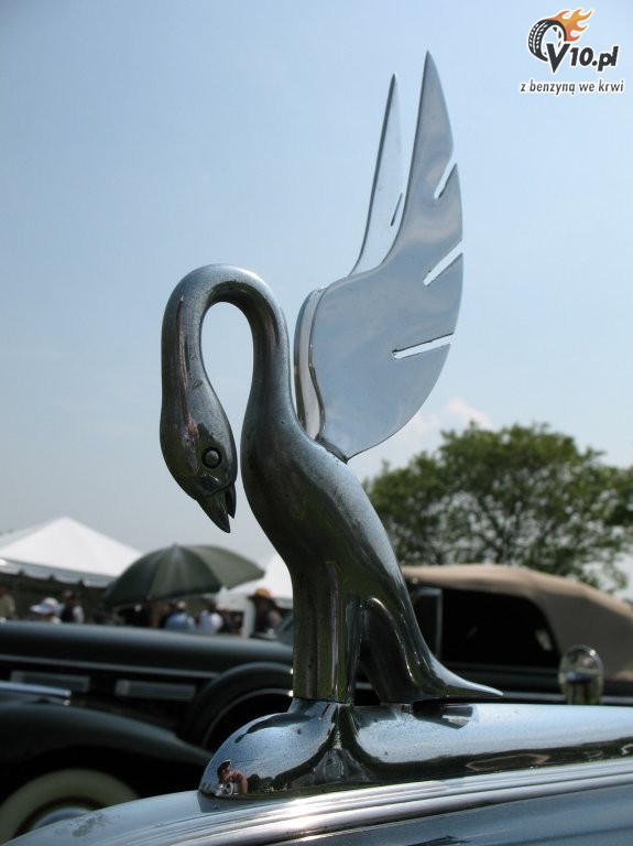 Greenwich Concours d'Elegance 2008 dzie 1