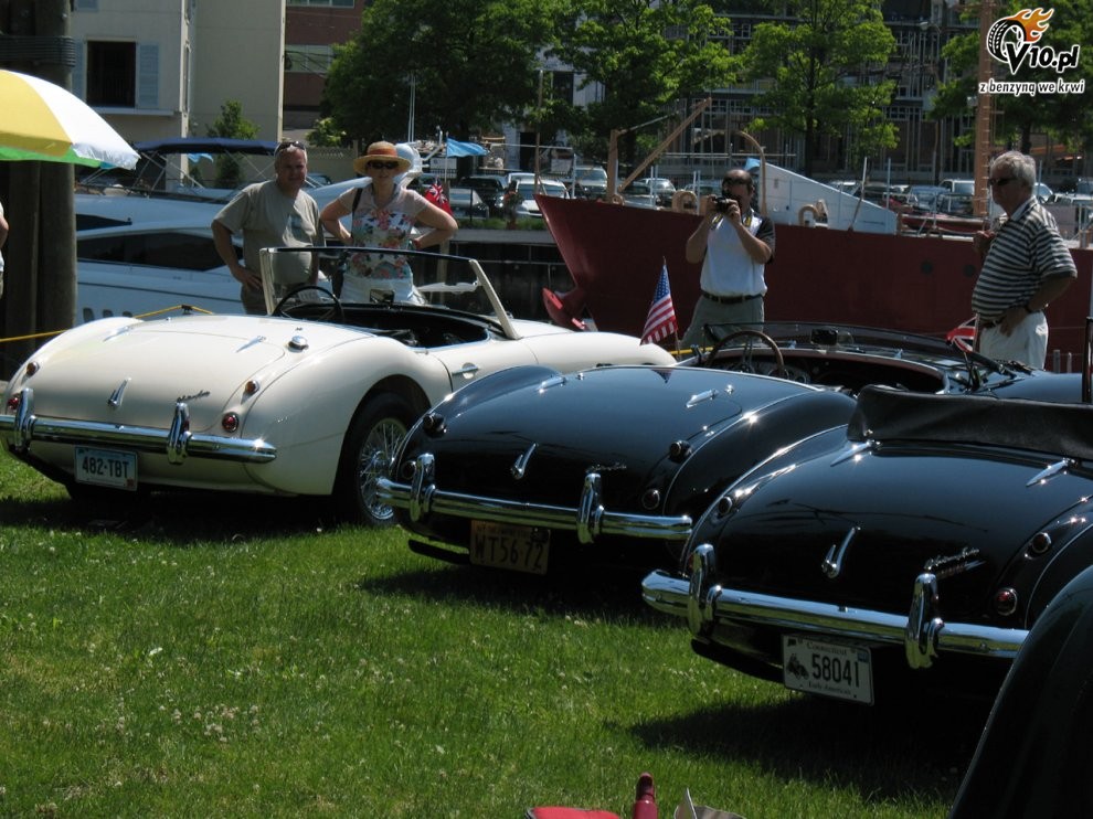 Greenwich Concours d'Elegance 2008 dzie 2
