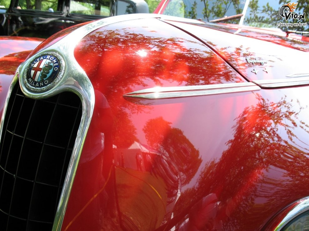Greenwich Concours d'Elegance 2008 dzie 2