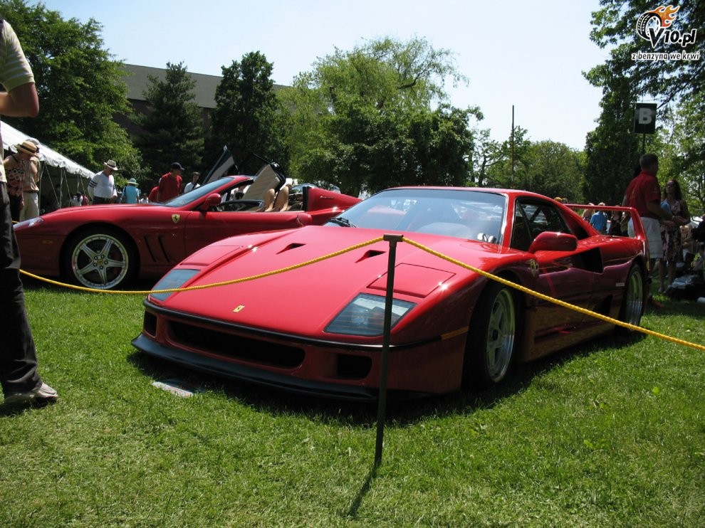 Greenwich Concours d'Elegance 2008 dzie 2