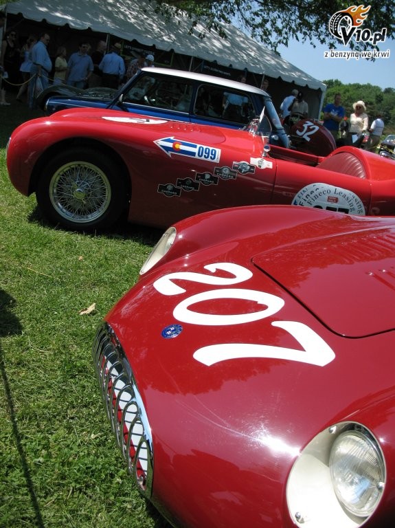Greenwich Concours d'Elegance 2008 dzie 2