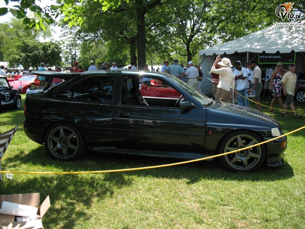 Greenwich Concours d'Elegance 2008 dzie 2