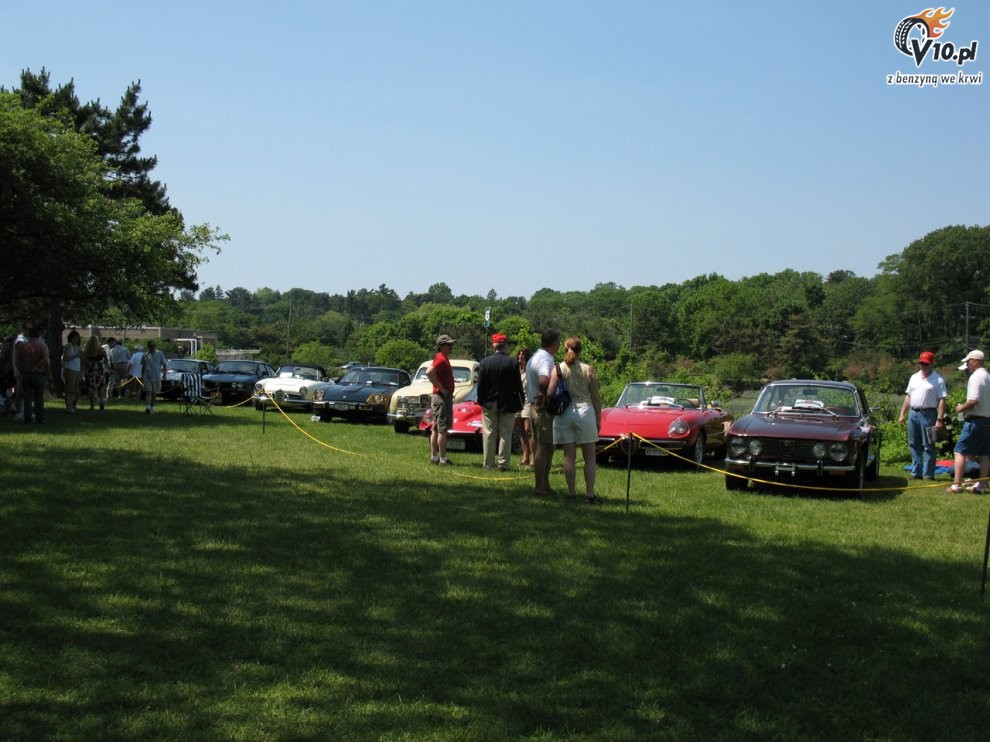 Greenwich Concours d'Elegance 2008 dzie 2