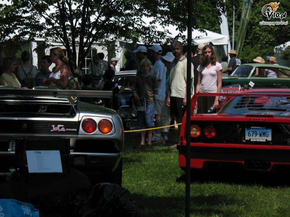 Greenwich Concours d'Elegance 2008 dzie 2