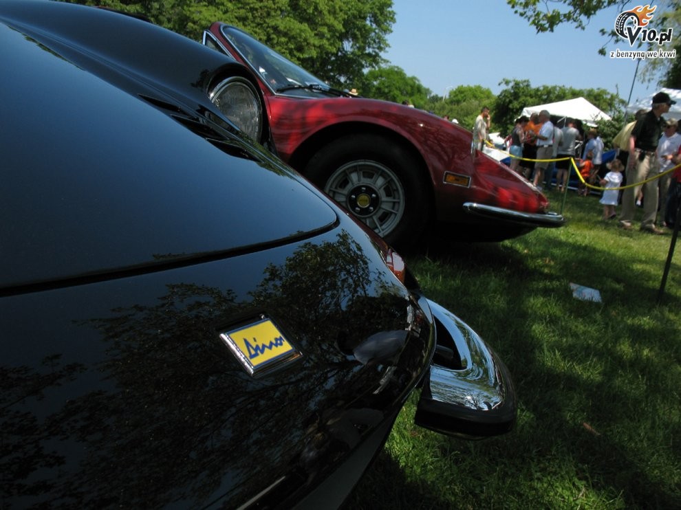 Greenwich Concours d'Elegance 2008 dzie 2