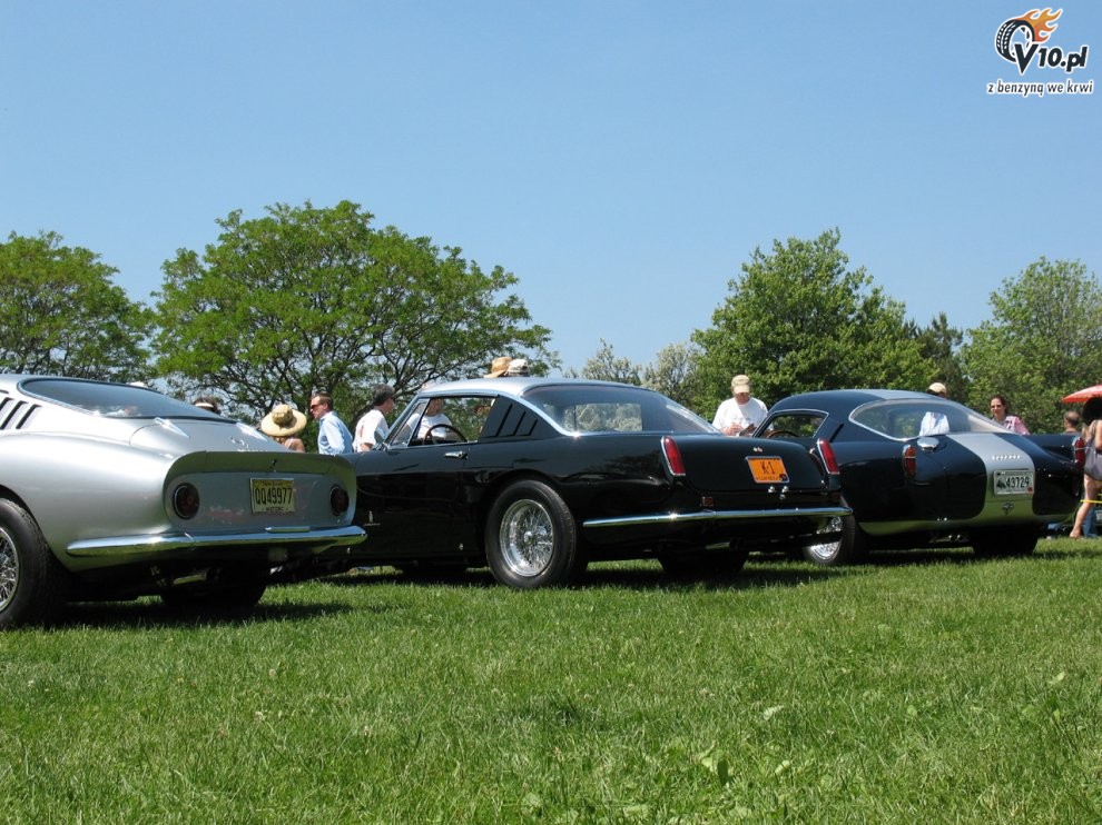 Greenwich Concours d'Elegance 2008 dzie 2