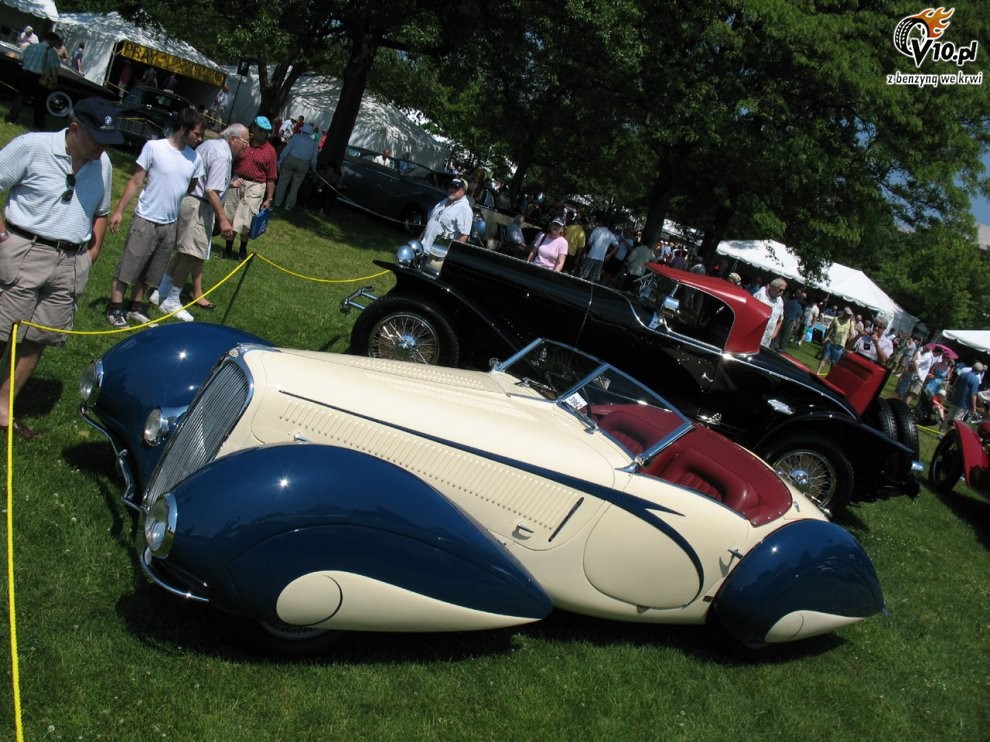 Greenwich Concours d'Elegance 2008 dzie 2
