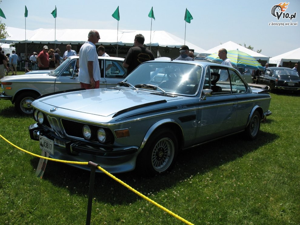 Greenwich Concours d'Elegance 2008 dzie 2