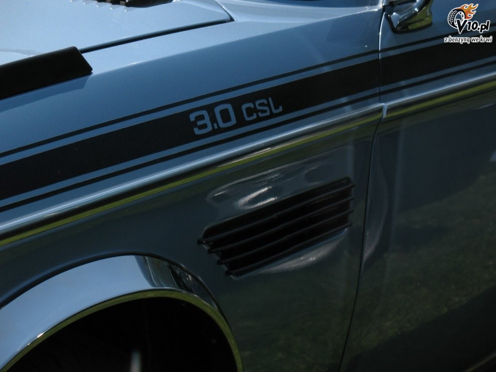 Greenwich Concours d'Elegance 2008 dzie 2