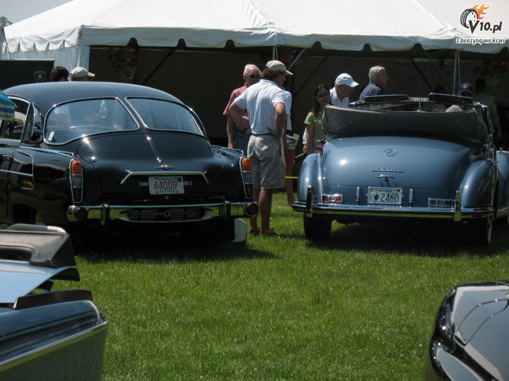 Greenwich Concours d'Elegance 2008 dzie 2