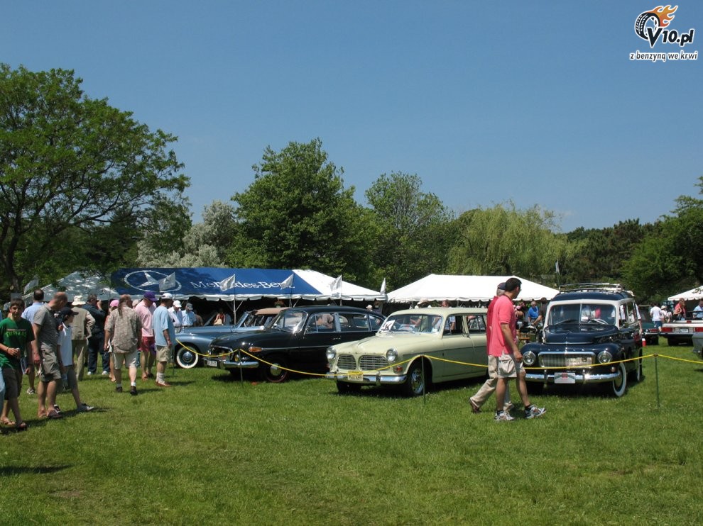 Greenwich Concours d'Elegance 2008 dzie 2