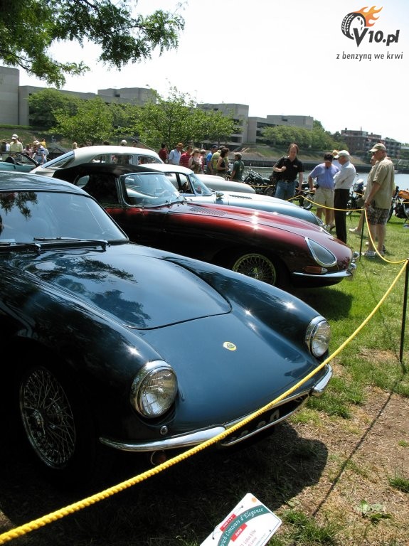 Greenwich Concours d'Elegance 2008 dzie 2