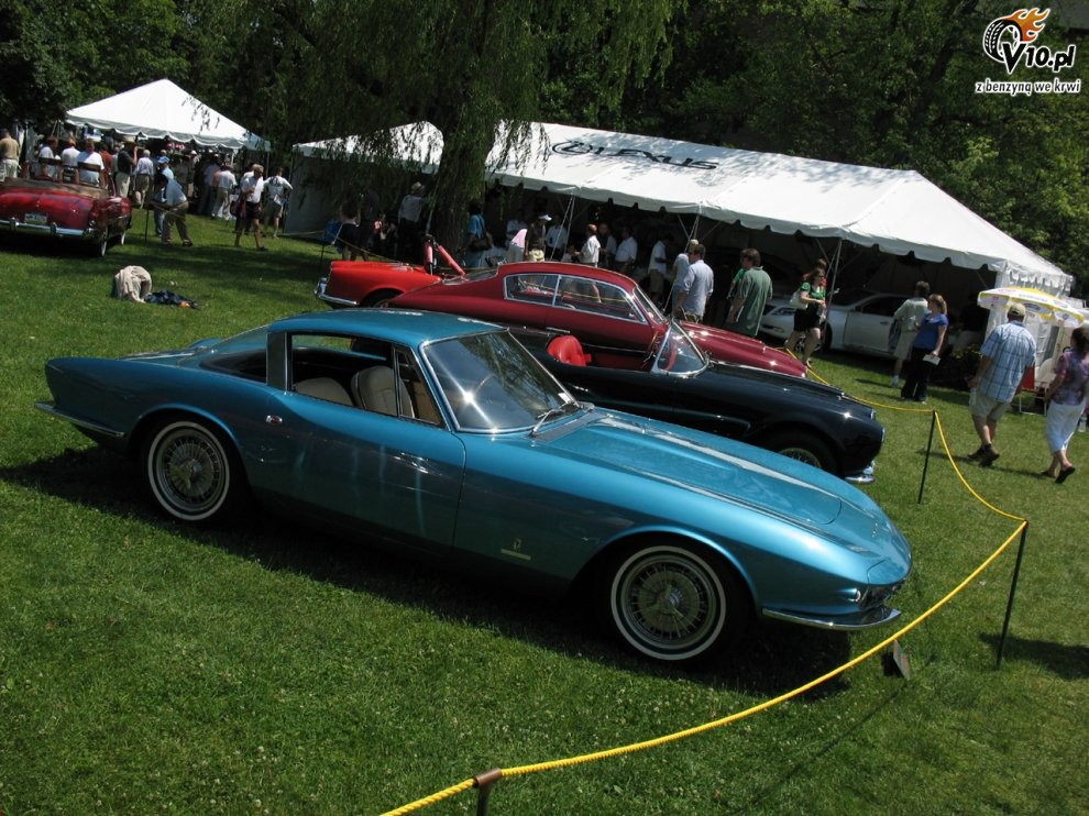 Greenwich Concours d'Elegance 2008 dzie 2