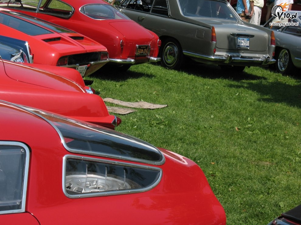 Greenwich Concours d'Elegance 2008 dzie 2